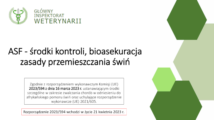 grafika, pierwsza strona slajdu prezentacji w pliku pdf